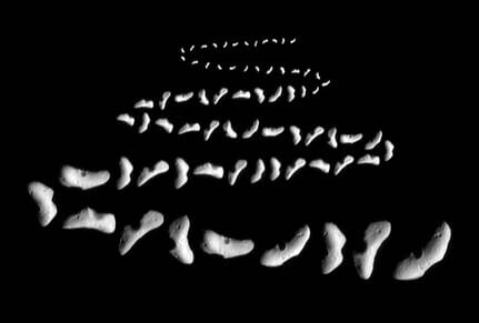 La sonde NEAR en route vers l’astéroïde (433) Eros