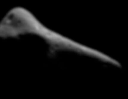 La surface sculptée de l’astéroïde (433) Eros